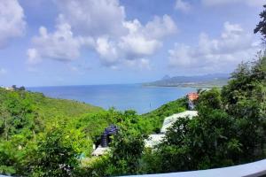 Táj Show homestays közelében
