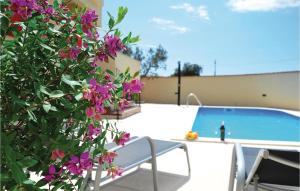a plant with purple flowers next to a swimming pool at Holiday Home Pakostane 25 in Pakoštane +55 photos