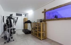 Γυμναστήριο ή/και όργανα γυμναστικής στο Villa Jure