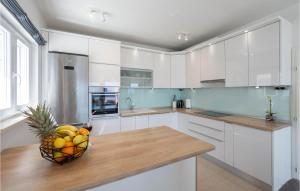 Kuchyň nebo kuchyňský kout v ubytování 5 Bedroom Amazing Home In Jesenice