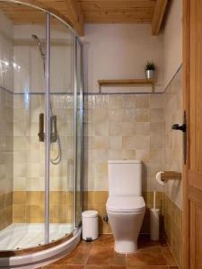 une salle de bain avec toilettes et douche en verre dans l'établissement La Llobatera Casa Rural, à Les Coves de Vinroma 32 autres photos