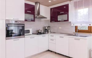 Kuchyňa alebo kuchynka v ubytovaní 4 Bedroom Pet Friendly Home In Vodnjan
