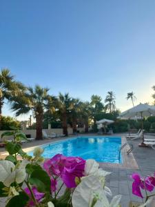 Bazén v ubytování Hotel Sheherazade Luxor nebo v jeho okolí