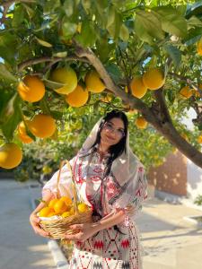 Gallery image of Restaurant Bujtina Portokallja in Fier