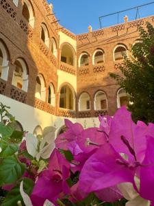 Fotografie z fotogalerie ubytování Hotel Sheherazade Luxor v destinaci Luxor