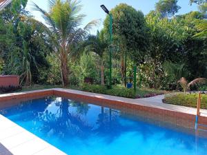 a swimming pool in a yard with palm trees at Cabañas 7 Colinas in Coto Brus