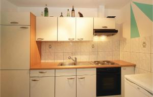 Kuchnia lub aneks kuchenny w obiekcie Lovely Home In Buje With Wifi