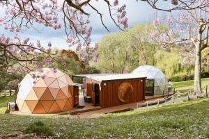 奥克兰Stellar Glamping Auckland的两个圆顶和一个位于树木环绕的公园里的圆顶