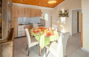 Kuchyň nebo kuchyňský kout v ubytování Pet Friendly Apartment In Ravni
