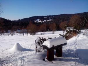 Chalupa U Šubrtů durante el invierno