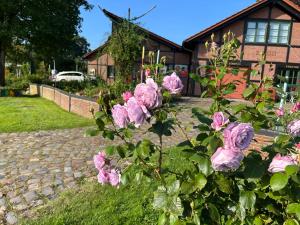 Zahrada ubytování Rosenkate - Komfort für Profis