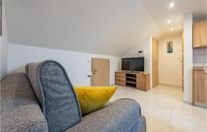 Televízia a/alebo spoločenská miestnosť v ubytovaní 1 Bedroom Stunning Apartment In Zadar