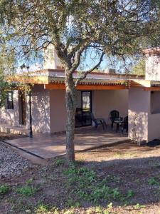 a house with a tree in front of it at Altos de Las Sierras in Cosquín
