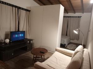 サン・ロレンソにあるHabitación tipo monoambienteのソファとテレビのあるリビングルーム