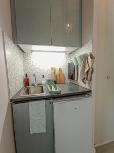 Kuchyň nebo kuchyňský kout v ubytování Studio 50m tram parking gratuit 13min gare