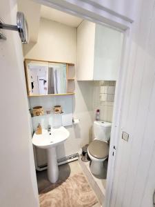 une petite salle de bain avec un lavabo et des toilettes dans l'établissement Studio cosy au cœur du quartier Saint-Pierre, à Amiens