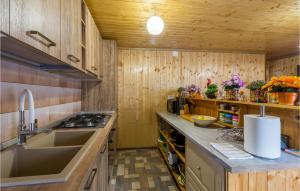Oprtaljにある3 Bedroom Awesome Apartment In Oprtaljの木製の壁のキッチン、シンク付きのカウンター