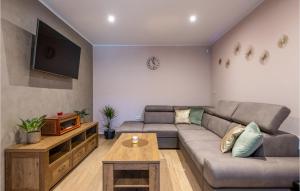 a living room with a couch and a tv at 2 Bedroom Nice Home In Barban in Jurićev Kal