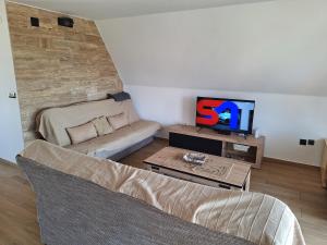 Televiisor ja/või meelelahutuskeskus majutusasutuses Planinska kuća Vesna
