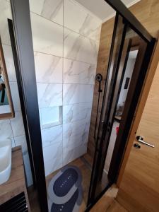 Vannituba majutusasutuses Planinska kuća Vesna
