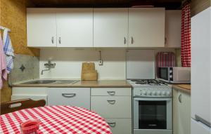 Kuchnia lub aneks kuchenny w obiekcie 1 Bedroom Cozy Apartment In Premantura