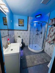 a bathroom with a shower and a toilet and a sink at Home besides Niagara Falls, NY in Niagara Falls +43 photos
