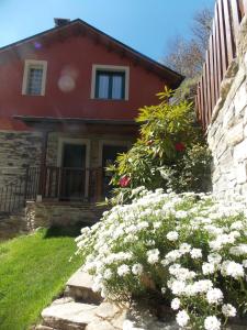 Zahrada ubytování Hostal El Recanto
