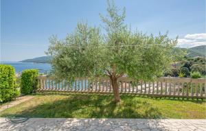 a tree in a yard next to a fence at Holiday Home Plominska Ii in Rabac