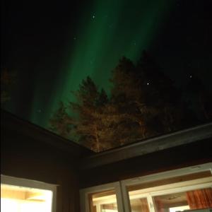 een schilderij van bomen op het plafond van een huis bij Kaamos Old House in Rovaniemi