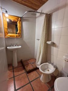 a bathroom with a sink and a toilet at Costa Traful in Villa Traful