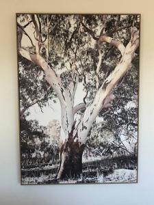 Fotografie z fotogalerie ubytování Nature at your Doorstep v destinaci Katoomba
