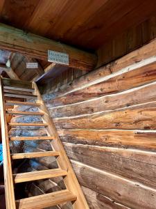 eine Holzwand mit einer Leiter in einer Hütte in der Unterkunft John Wayne Cedar Oasis in Cookstown