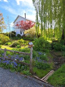 Zahrada ubytování Spring Cottage