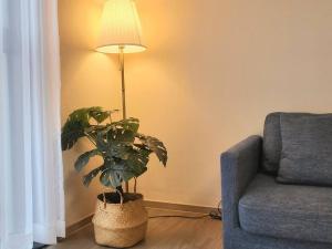 Χώρος καθιστικού στο 10 minutes from the airport, central Jeju Nohyeong-dong, 3 rooms, 4 doule beds, 2 bathrooms