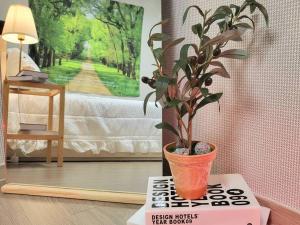 Κήπος έξω από το 10 minutes from the airport, central Jeju Nohyeong-dong, 3 rooms, 4 doule beds, 2 bathrooms