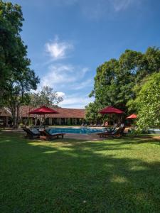 Bazén v ubytování Sigiriya Village nebo v jeho okolí