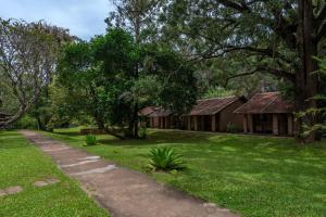 a house with a grass yard and a sidewalk at Sigiriya Village in Sigiriya
