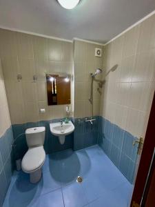 ein Badezimmer mit Toilette und Waschbecken in der Unterkunft PAMPOROVO Raikovski lodge in Pamporowo