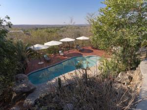 an overhead view of a swimming pool with umbrellas at The Wild Blue Lodge SAFARI & SPA in Hoedspruit