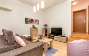Televízia a/alebo spoločenská miestnosť v ubytovaní Holiday Home Peroj Lxxiii