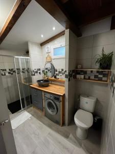bagno con servizi igienici, lavandino e lavatrice di Barak'El a La Plaine des Cafres