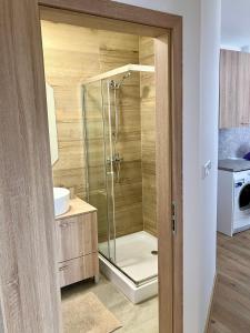 Koupelna v ubytování Apartmán 656