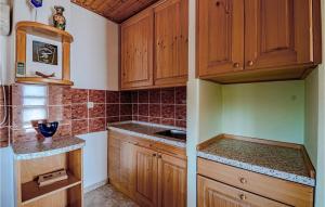 Kuchyň nebo kuchyňský kout v ubytování Holiday Home Pelegrin 58