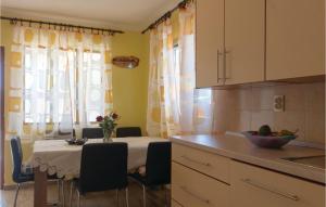 Kuchyň nebo kuchyňský kout v ubytování Holiday Home Pelegrin 58