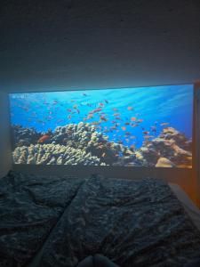 a bedroom with a large aquarium on the wall at Zentrales Apartment nähe Dom 5 Haltestellen bis Kölnmesse in Cologne