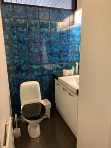 a bathroom with a toilet and a sink at Villa Venetsia tilava huvila in Lapua +22 photos
