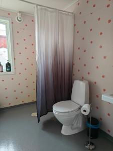 a bathroom with a toilet and a shower at Stuga utanför Skövde 2 in Skövde