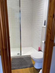 a bathroom with a shower and a toilet at Classy two bed home - close to town centre & beach in Exmouth +13 photos