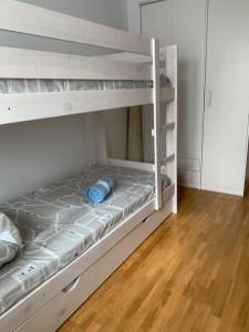 Imagen de la galería de Riglos3 Candanchu, en Candanchú