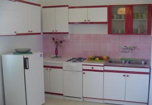 Kuchyň nebo kuchyňský kout v ubytování Apartments Nebo